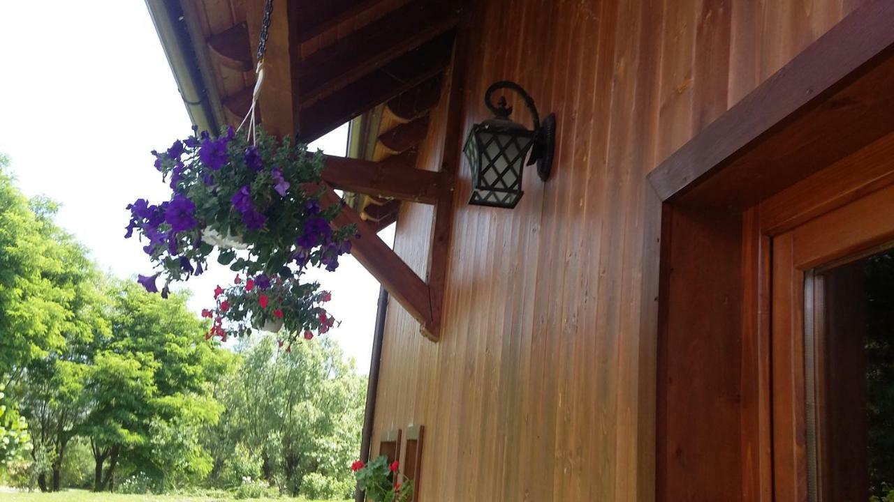 Albinuta Guesthouse Ozun 외부 사진
